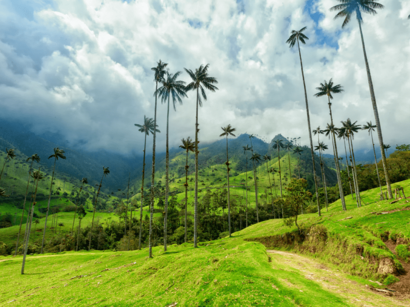 Paisajes de Colombia