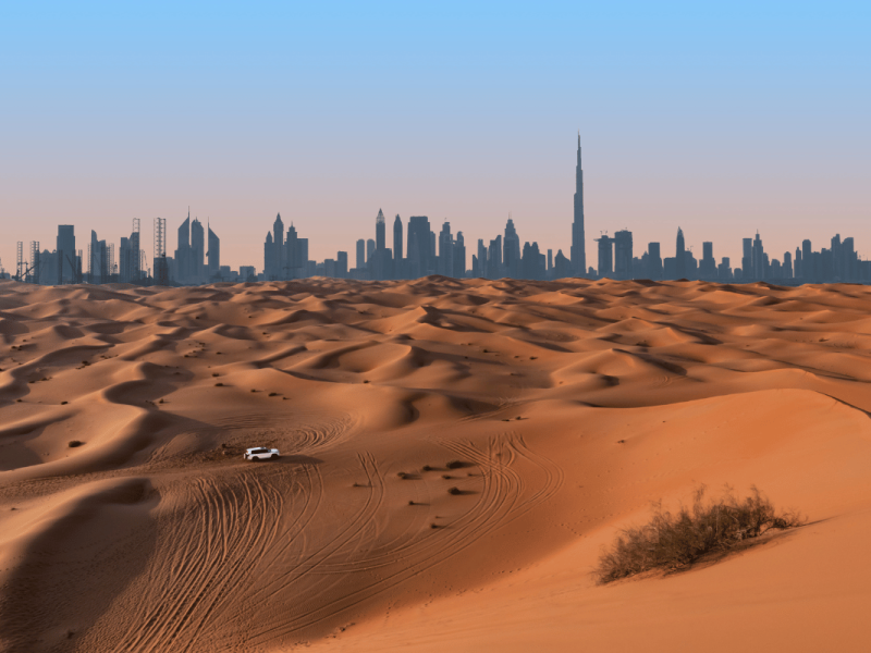 Dubai (8)