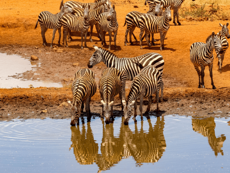 Kenia (2)