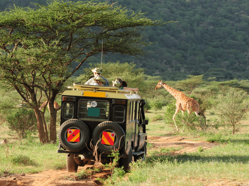 Kenia (7)